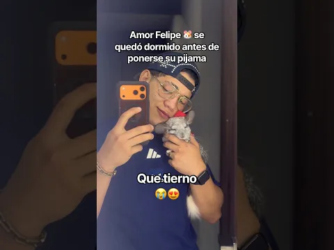 “Ellos no tienen sentimientos” EL: 😍#chinchilla #animalestiernos #mascotas #amor