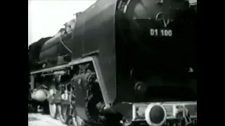                 دندنها
