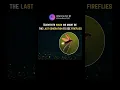 Download Lagu We Might Be the Last Generation to See Fireflies #fireflies #asthetic