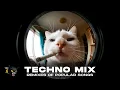 🐝 TECHNO RAVE MIX 2025 🐝 BEST REMIXES OF POPULAR SONGS | NONSTOP TECHNO BANGERS