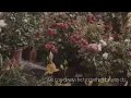 Love Of My Life (Audio) - Harry Styles