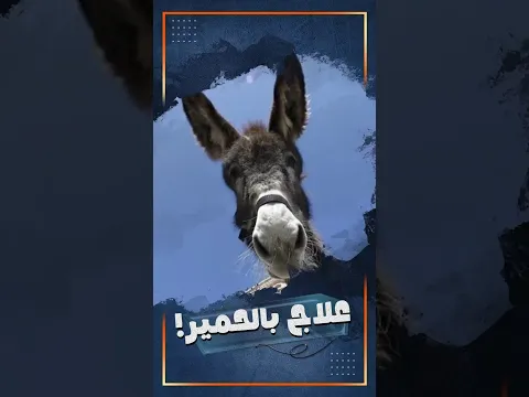 حمار الاكتئاب
