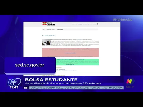Bolsa Estudante: vagas disponíveis do programa diminuem 83% este ano