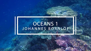 FTB CHILLOUT 02 – Beautiful footage of coral in the South China Sea