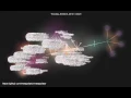 Evolution of Metapolator - Gource Visualization
