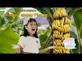 Lagu Lagu Daerah Kalimantan Selatan || Ampar- ampar Pisang || Ceo Jati Atmodjo