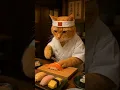 Lagu Some sushi 🍣? #hit #foryou #cat #cuteanimal #healing #cutecat #funny #anime #japan #orangecat