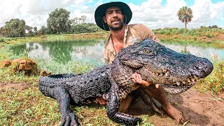 Giant Alligator Catch, Clean & Cook