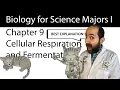 Chapter 9 - Cellular Respiration and Fermentation CLEARLY EXPLAINED