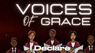 soul of afrika i declare official visualizer 