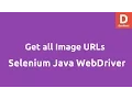Get all image URLs on webpage Selenium Java