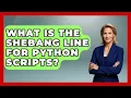 What Is The Shebang Line For Python Scripts - Python Code School