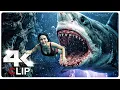 Shark Attack Scene THE DEVIL S MOUTH NEW 2026 MOVIE CLIP 4K