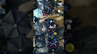 صباح نهر الميكونغ تلتقي القوارب والدراجات في سوق دلتا Shorts 