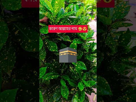 কি ধাক্কা মারতে মন চায়? মারেন ধাক্কা কারণ এটা তো আল্লাহর নাম 😭🕋😅#islamic #islam #allah #shorts