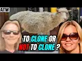 Benatar AI Cloning Ethics Extinction