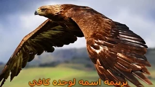 اسمه لوحده كافي دندنها