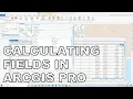 ArcGIS Pro - Quick Guide 07 Calculating Fields