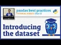 pandas best practices Introducing the dataset
