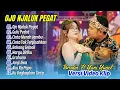 Download Lagu OJO NJALUK PEGAT - Brodin Ft. Yuni Yunel Om Nirwana Comeback | GULU PEDOT || ALBUM DANGDUT TERBARU