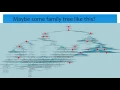 Find your math family tree your math grandgrandgrandfather