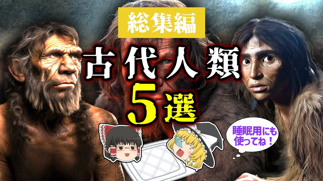 【睡眠用・ゆっくり解説】古代人類5選! ネアンデルタール人/ホモ・ハビリス/フローレス原人など【広告最初のみ 途中広告なし】