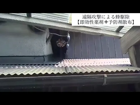 【日本防除品質管理機構 - 優良事業者認定店】が手掛け蜂の巣駆除!!