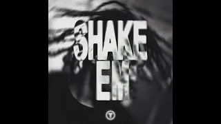 Cover TroyBoi - SHAKE'EM