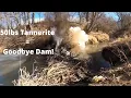 Tannerite VS Multiple Beaver Dams compilation