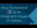How to Interpret 3 as an Unsigned Integer in Python