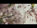 Christopher Willits DJ Set - The Great Northern - San Francisco (Excerpt)