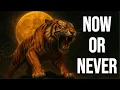 Download Lagu Now or Never (Official Lyric Video)