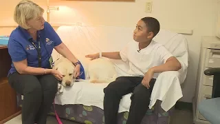 CHKD Expanding Pet Therapy Program