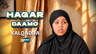 Hagardaamo Xalqada 3-aad