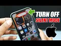How to Turn Silent Mode Off on iPhone 11 Remove Silent Mode