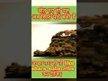 Download Lagu दूरदर्शन की पुरानी टीवी विज्ञापन  | Old Ads 1990 | Doordarshan Old Ads | Maggi Old Ads | Shaktimaan