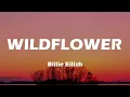 Download Lagu Billie Eilish - WILDFLOWER (Lyrics)