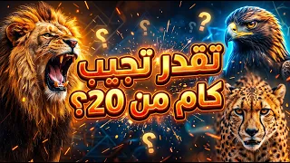 اتحداك تجيب 20 من 20 فى تحدى معلوماتك عن الحيوانات! #animals