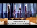Hydrostatic Paradox