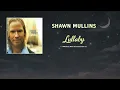 Shawn Mullins - Lullaby (Single Edit) [HQ Audio]