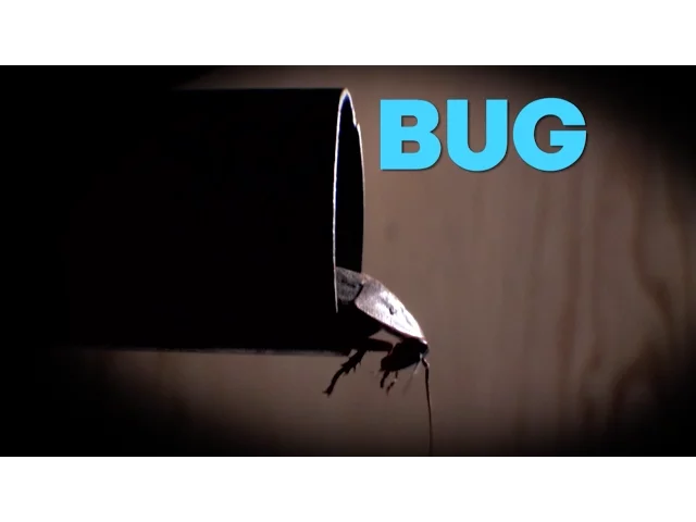 BUG - Trailer - Movies! TV Network