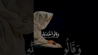 حالات واتس اب سيد متولي عبد العال 