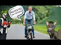 Download Lagu Bernd und die alten Kämpfer