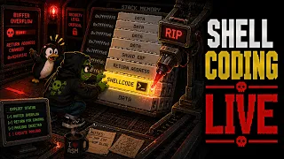SHELLCODE HACKING LIVE Binary Exploitation CTF Challenges