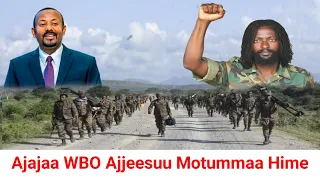 ODUU Ammee Ajajaan WBO Ajjeefamuu RIB Beksise Moha Oromo 