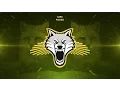 Download Lagu LANG - FOXES