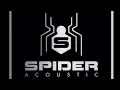 Download Lagu NEW DEMO SPIDER ACOUSTIC CABINET VADODARA GUJARAT ❤️🫂 competition king 👑