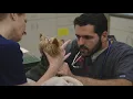 LMU-CVM Clinical Year Testimonies