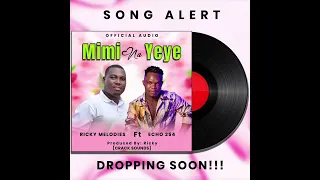 ricky melodies echo 254 mimi na yeye official audio 