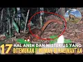 Download Lagu 17 Hal Aneh Dan Misterius yang Ditemukan Ilmuwan di Kalimantan